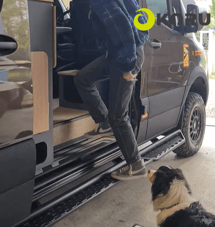 Persona che utilizza il kit pedane laterali L4 L5 su veicolo, migliorando accessibilità con cane nei paraggi.