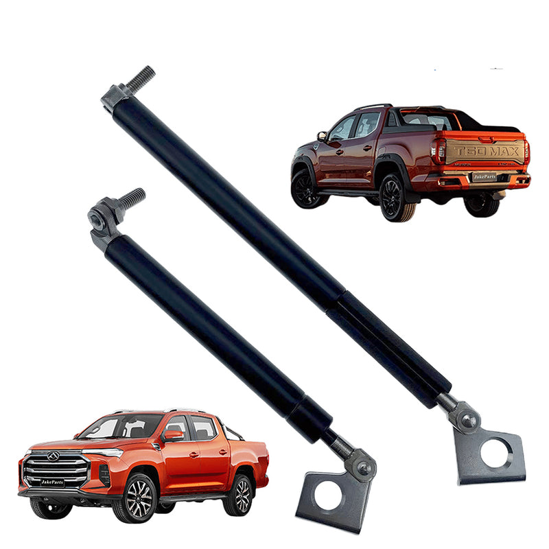 Molla a gas LDV T60 2017-2020