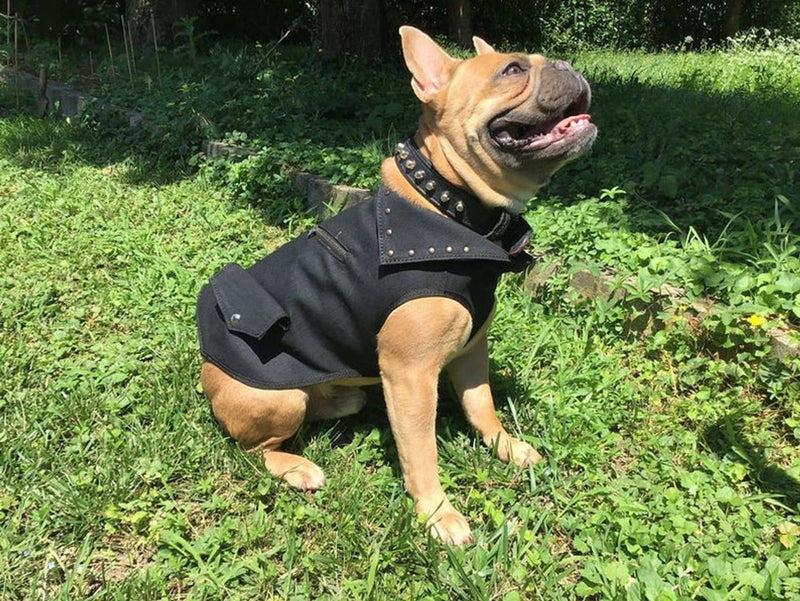 GILET PER CANI MODELLO  ETTORE 001 - VERO ARTIGIANATO -