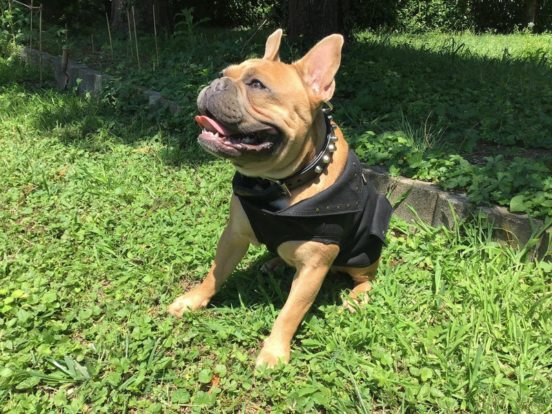 GILET PER CANI MODELLO  ETTORE 001 - VERO ARTIGIANATO -